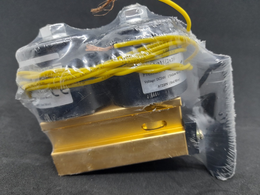 VALVULA SOLENOIDE EMPACADORA DZ400 (24v)