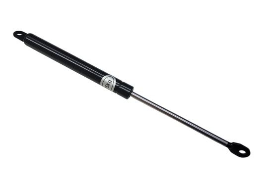 [GDA876984] GAS SPRING 8 PULG